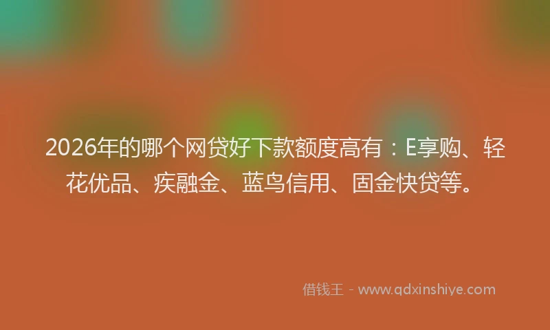 2026年的哪个网贷好下款额度高有：E享购、轻花优品、疾融金、蓝鸟信用、固金快贷等。