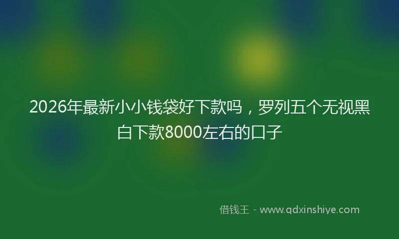 2026年最新小小钱袋好下款吗，罗列五个无视黑白下款8000左右的口子