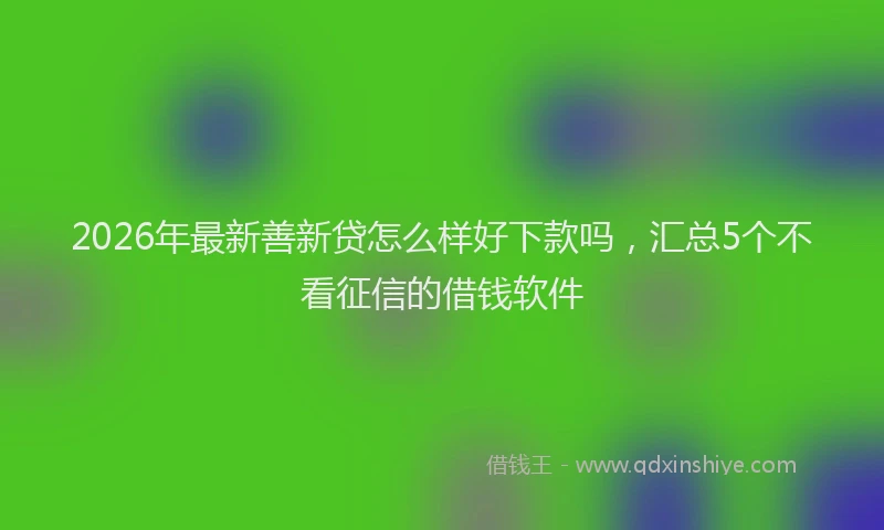 2026年最新善新贷怎么样好下款吗，汇总5个不看征信的借钱软件