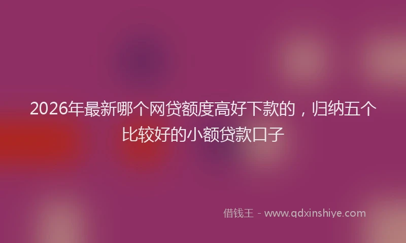 2026年最新哪个网贷额度高好下款的，归纳五个比较好的小额贷款口子