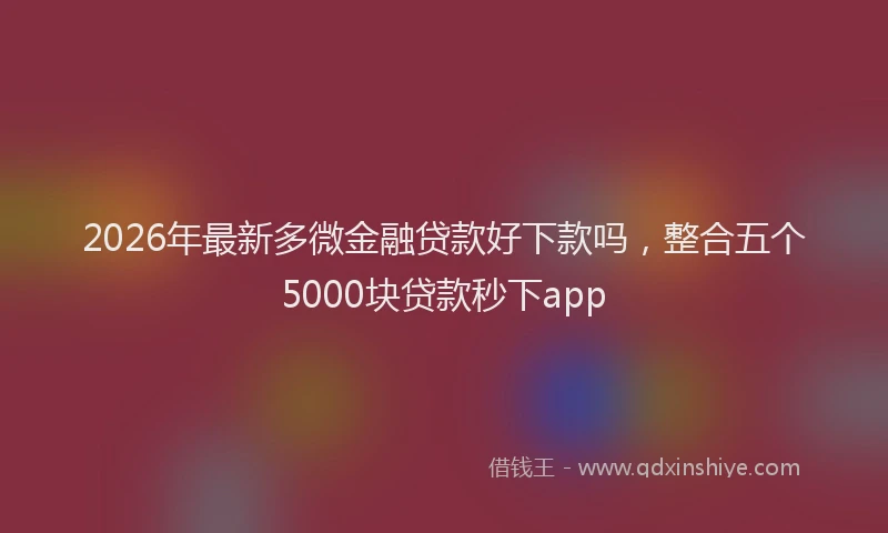 2026年最新多微金融贷款好下款吗,整合五个5000块贷款秒下app