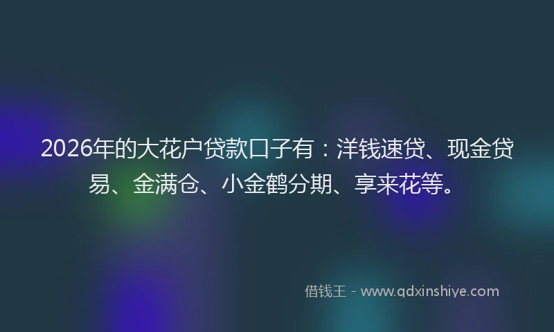 2026年的大花户贷款口子有：洋钱速贷、现金贷易、金满仓、小金鹤分期、享来花等。