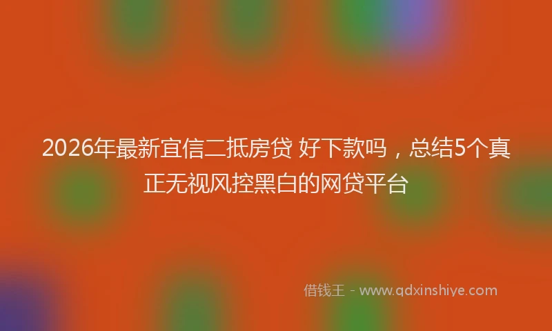 2026年最新宜信二抵房贷 好下款吗，总结5个真正无视风控黑白的网贷平台