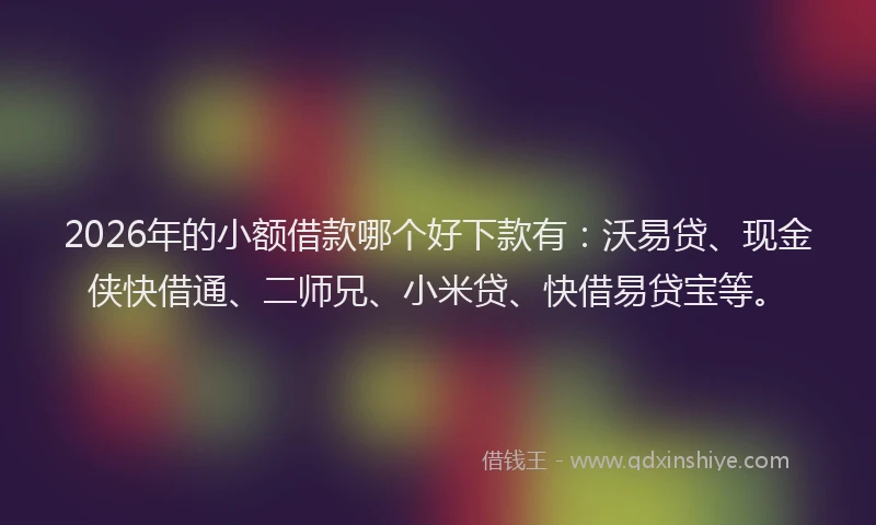 2026年的小额借款哪个好下款有：沃易贷、现金侠快借通、二师兄、小米贷、快借易贷宝等。