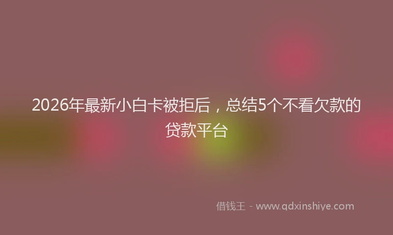 2026年最新小白卡被拒后，总结5个不看欠款的贷款平台