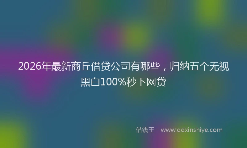 2026年最新商丘借贷公司有哪些，归纳五个无视黑白100%秒下网贷