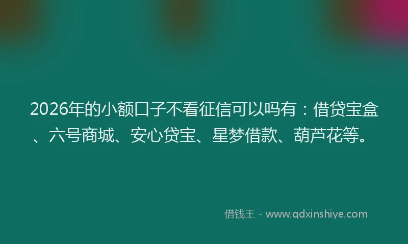 2026年的小额口子不看征信可以吗有:借贷宝盒、六号商城、安心贷宝、星梦借款、葫芦花等。
