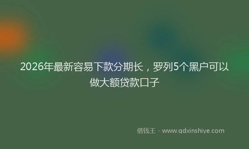 2026年最新容易下款分期长，罗列5个黑户可以做大额贷款口子