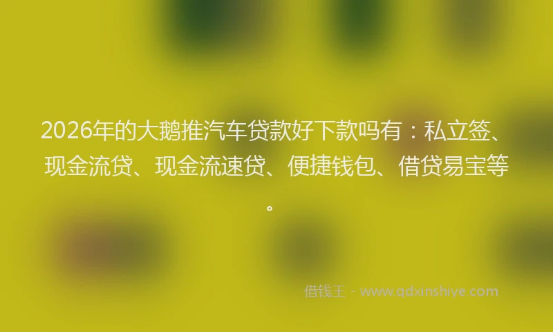 2026年的大鹅推汽车贷款好下款吗有：私立签、现金流贷、现金流速贷、便捷钱包、借贷易宝等。
