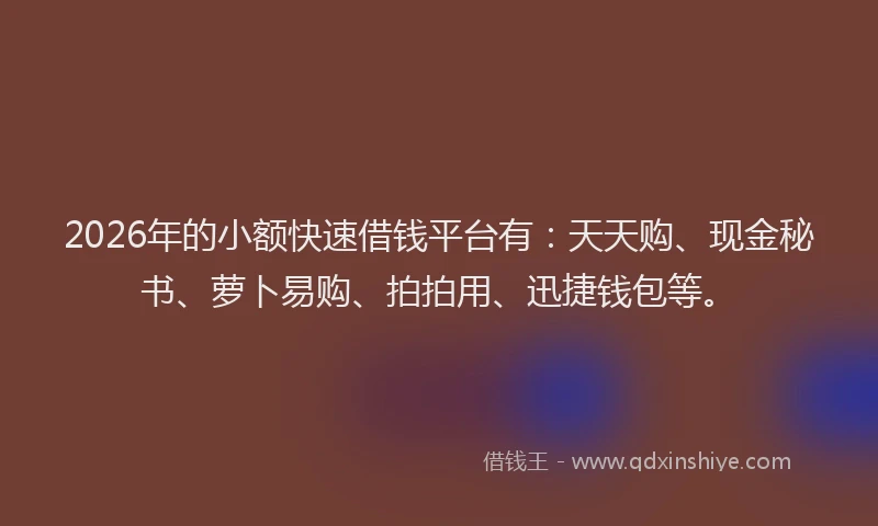 2026年的小额快速借钱平台有：天天购、现金秘书、萝卜易购、拍拍用、迅捷钱包等。