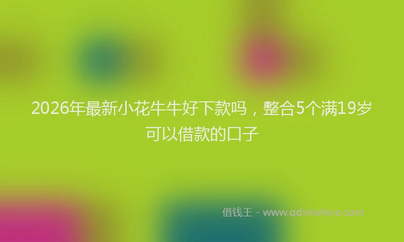 2026年最新小花牛牛好下款吗，整合5个满19岁可以借款的口子
