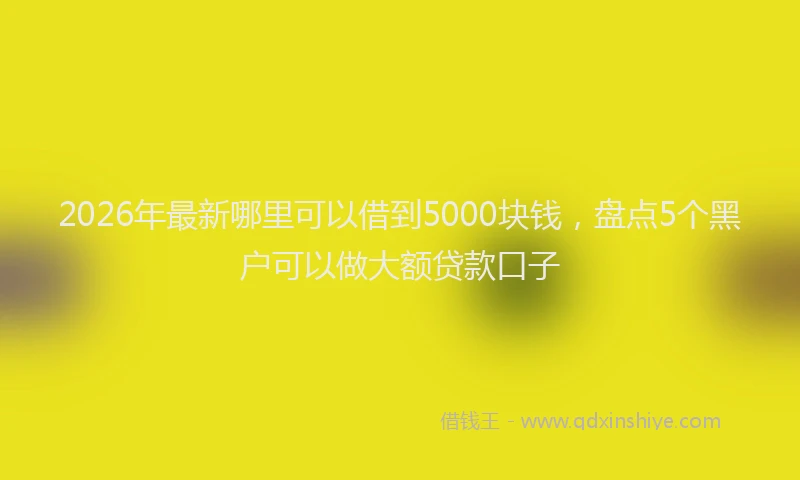 2026年最新哪里可以借到5000块钱，盘点5个黑户可以做大额贷款口子