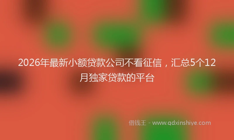 2026年最新小额贷款公司不看征信，汇总5个12月独家贷款的平台