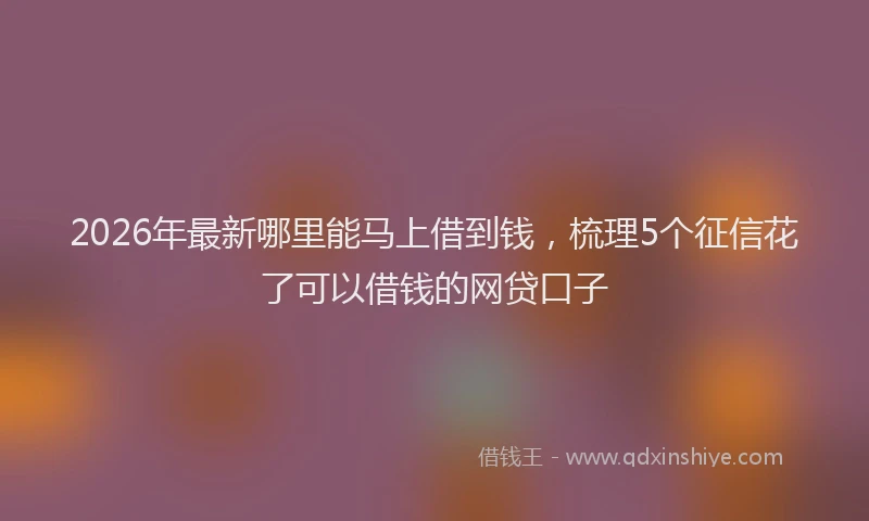 2026年最新哪里能马上借到钱,梳理5个征信花了可以借钱的网贷口子