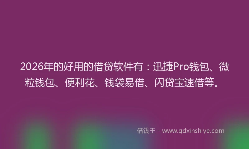 2026年的好用的借贷软件有：迅捷Pro钱包、微粒钱包、便利花、钱袋易借、闪贷宝速借等。