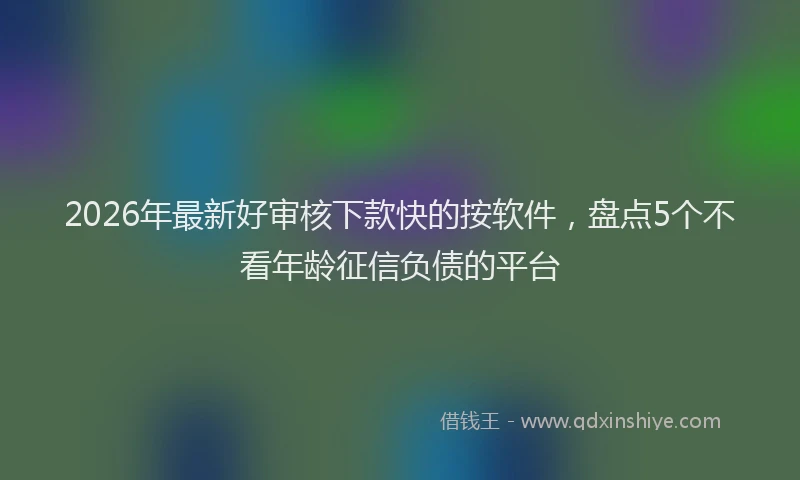 2026年最新好审核下款快的按软件，盘点5个不看年龄征信负债的平台