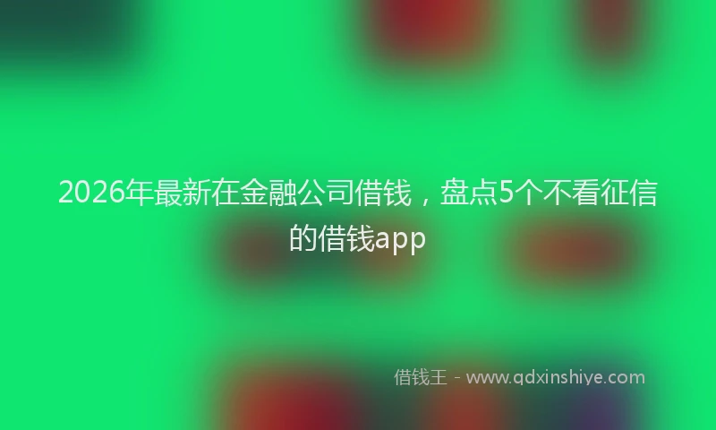 2026年最新在金融公司借钱,盘点5个不看征信的借钱app