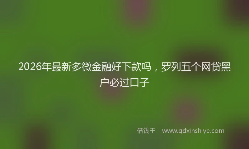 2026年最新多微金融好下款吗,罗列五个网贷黑户必过口子
