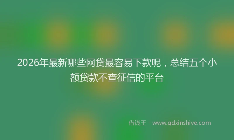 2026年最新哪些网贷最容易下款呢，总结五个小额贷款不查征信的平台