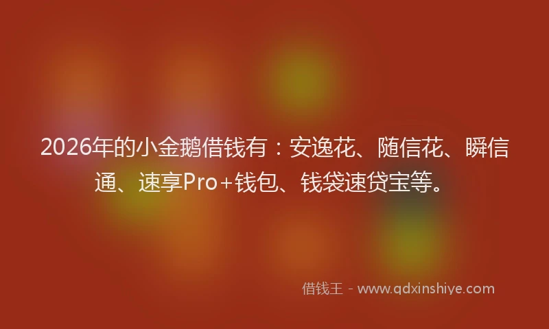 2026年的小金鹅借钱有：安逸花、随信花、瞬信通、速享Pro+钱包、钱袋速贷宝等。