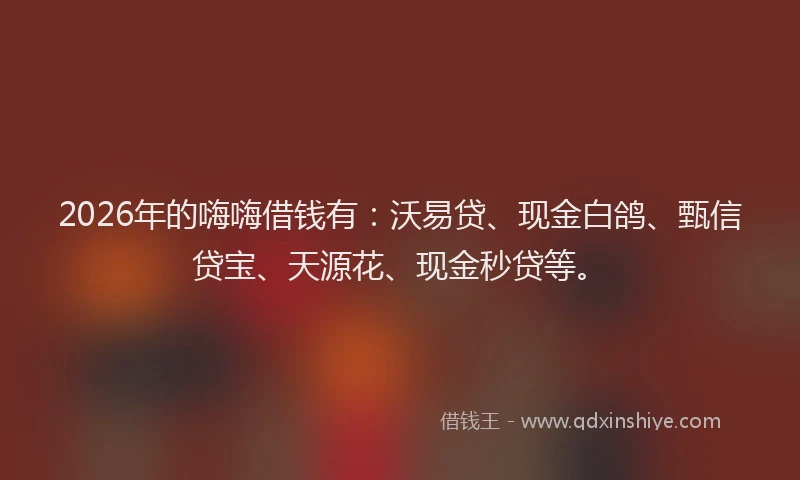 2026年的嗨嗨借钱有：沃易贷、现金白鸽、甄信贷宝、天源花、现金秒贷等。
