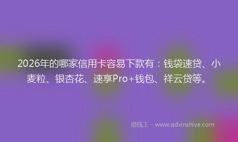 2026年的哪家信用卡容易下款有:钱袋速贷、小麦粒、银杏花、速享Pro+钱包、祥云贷等。