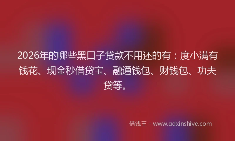2026年的哪些黑口子贷款不用还的有：度小满有钱花、现金秒借贷宝、融通钱包、财钱包、功夫贷等。