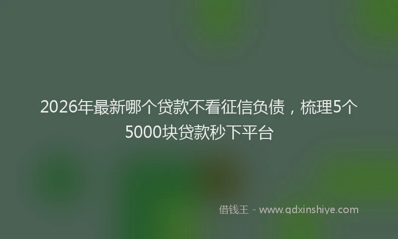 2026年最新哪个贷款不看征信负债,梳理5个5000块贷款秒下平台