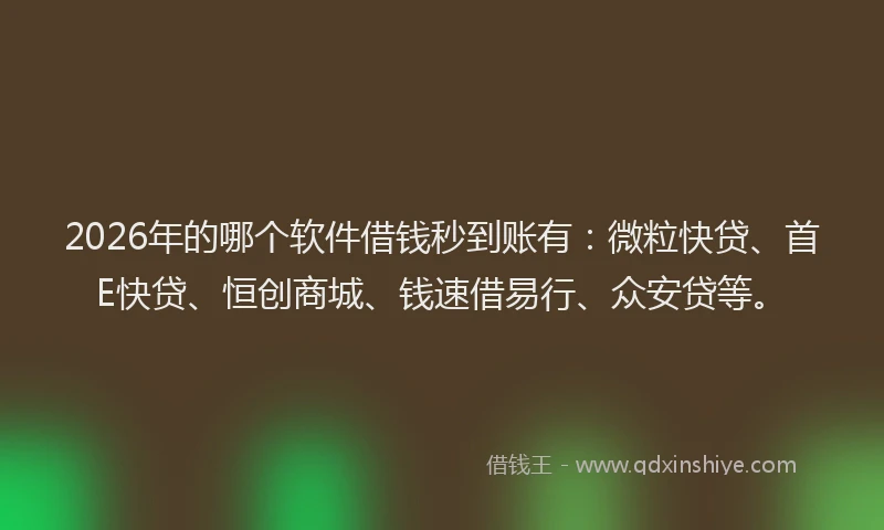 2026年的哪个软件借钱秒到账有:微粒快贷、首E快贷、恒创商城、钱速借易行、众安贷等。