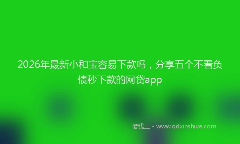 2026年最新小和宝容易下款吗，分享五个不看负债秒下款的网贷app