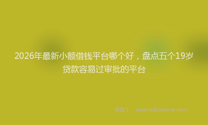 2026年最新小额借钱平台哪个好，盘点五个19岁贷款容易过审批的平台