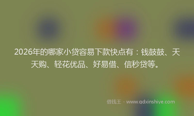 2026年的哪家小贷容易下款快点有:钱鼓鼓、天天购、轻花优品、好易借、信秒贷等。