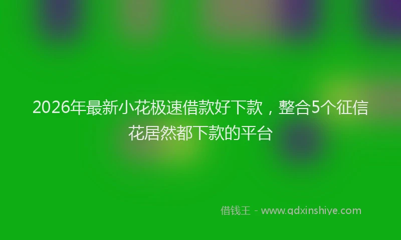 2026年最新小花极速借款好下款，整合5个征信花居然都下款的平台