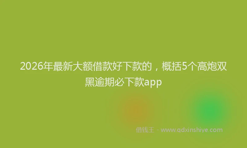 2026年最新大额借款好下款的，概括5个高炮双黑逾期必下款app