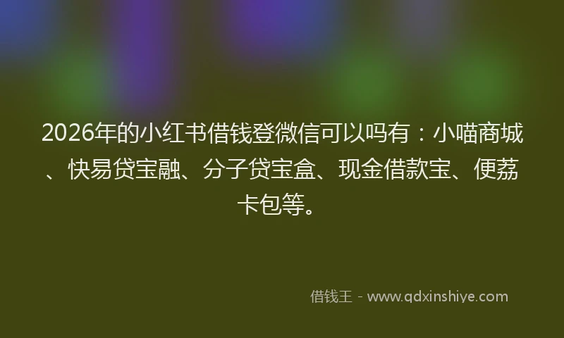 2026年的小红书借钱登微信可以吗有：小喵商城、快易贷宝融、分子贷宝盒、现金借款宝、便荔卡包等。
