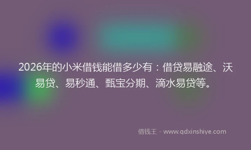 2026年的小米借钱能借多少有：借贷易融途、沃易贷、易秒通、甄宝分期、滴水易贷等。