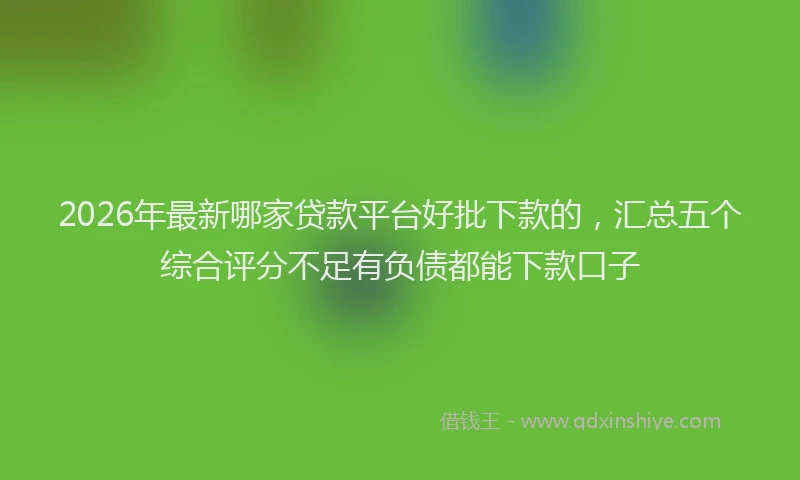 2026年最新哪家贷款平台好批下款的，汇总五个综合评分不足有负债都能下款口子