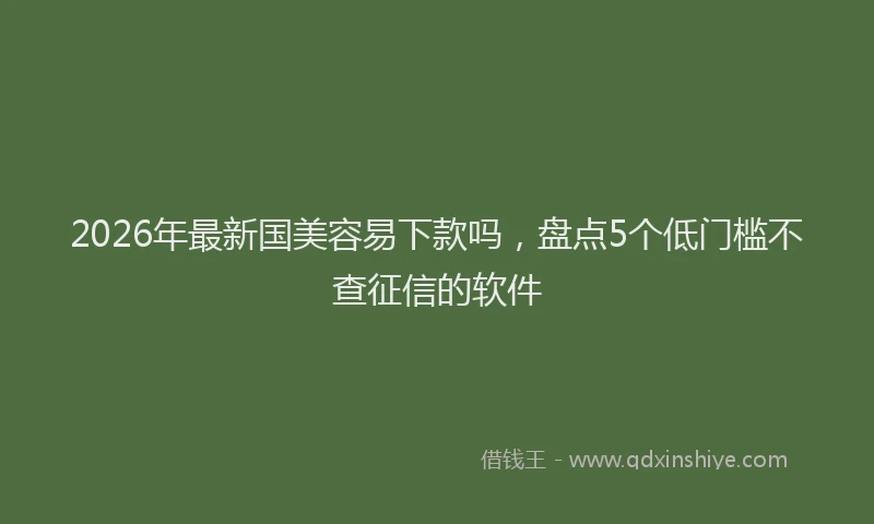 2026年最新国美容易下款吗，盘点5个低门槛不查征信的软件