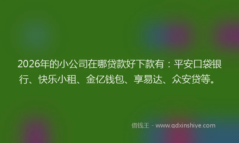 2026年的小公司在哪贷款好下款有：平安口袋银行、快乐小租、金亿钱包、享易达、众安贷等。