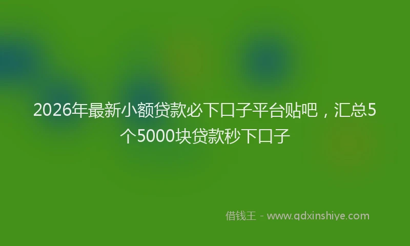 2026年最新小额贷款必下口子平台贴吧，汇总5个5000块贷款秒下口子