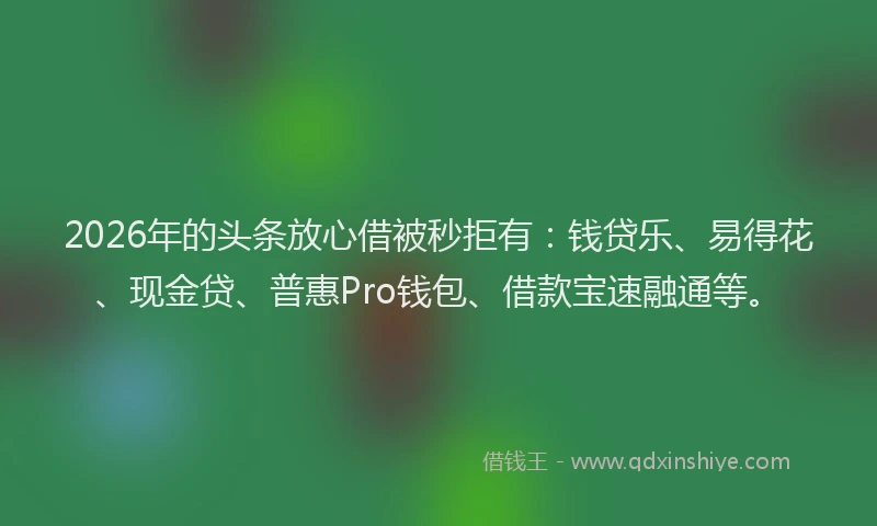 2026年的头条放心借被秒拒有:钱贷乐、易得花、现金贷、普惠Pro钱包、借款宝速融通等。