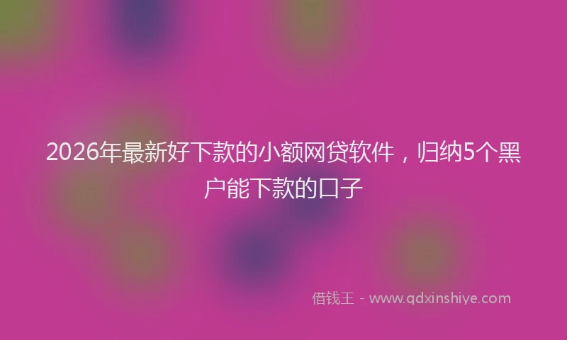 2026年最新好下款的小额网贷软件，归纳5个黑户能下款的口子