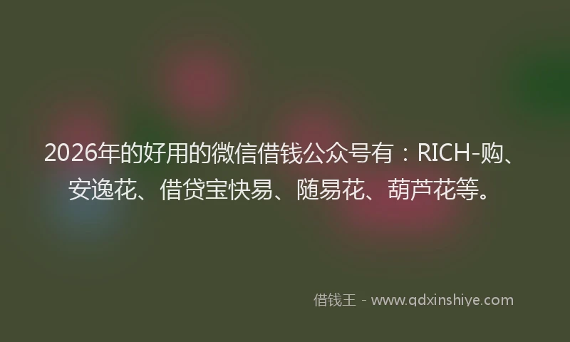 2026年的好用的微信借钱公众号有：RICH-购、安逸花、借贷宝快易、随易花、葫芦花等。