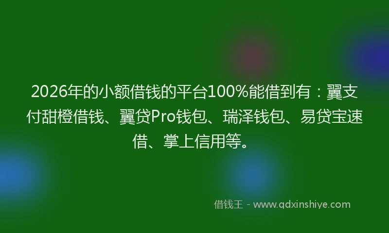 2026年的小额借钱的平台100%能借到有：翼支付甜橙借钱、翼贷Pro钱包、瑞泽钱包、易贷宝速借、掌上信用等。