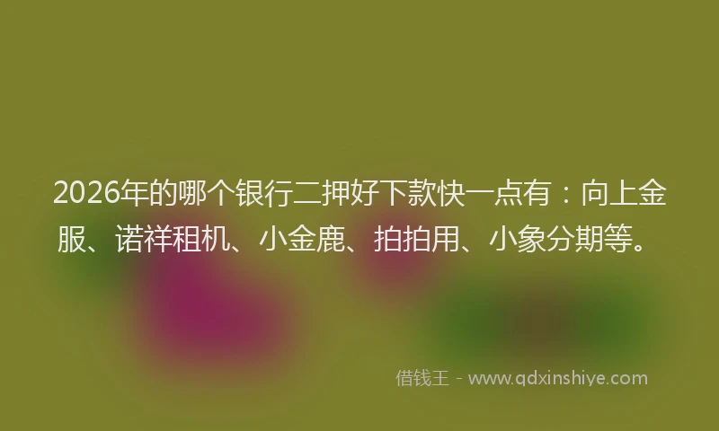 2026年的哪个银行二押好下款快一点有：向上金服、诺祥租机、小金鹿、拍拍用、小象分期等。