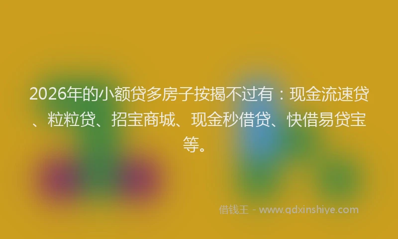 2026年的小额贷多房子按揭不过有：现金流速贷、粒粒贷、招宝商城、现金秒借贷、快借易贷宝等。