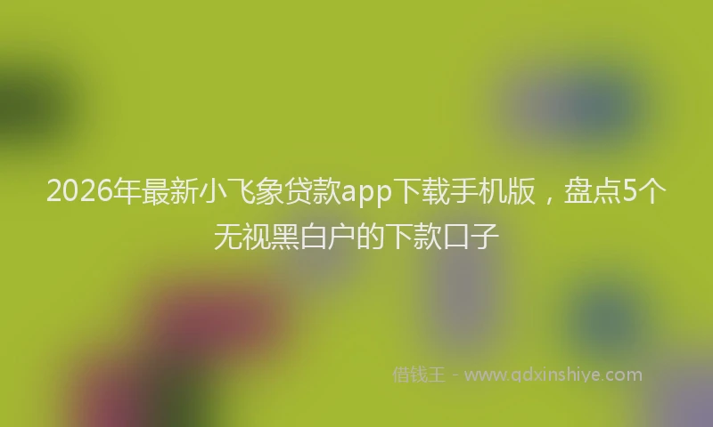2026年最新小飞象贷款app下载手机版，盘点5个无视黑白户的下款口子