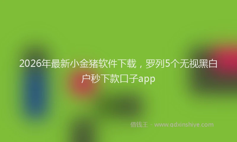 2026年最新小金猪软件下载，罗列5个无视黑白户秒下款口子app