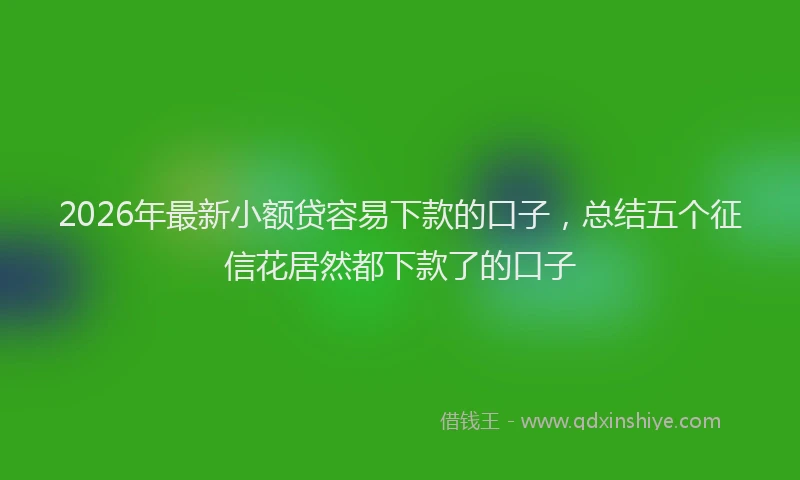 2026年最新小额贷容易下款的口子，总结五个征信花居然都下款了的口子
