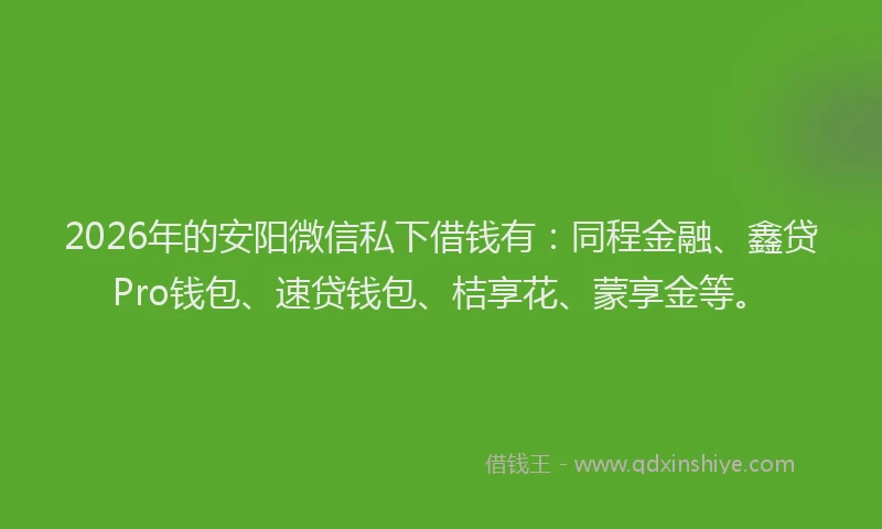 2026年的安阳微信私下借钱有：同程金融、鑫贷Pro钱包、速贷钱包、桔享花、蒙享金等。